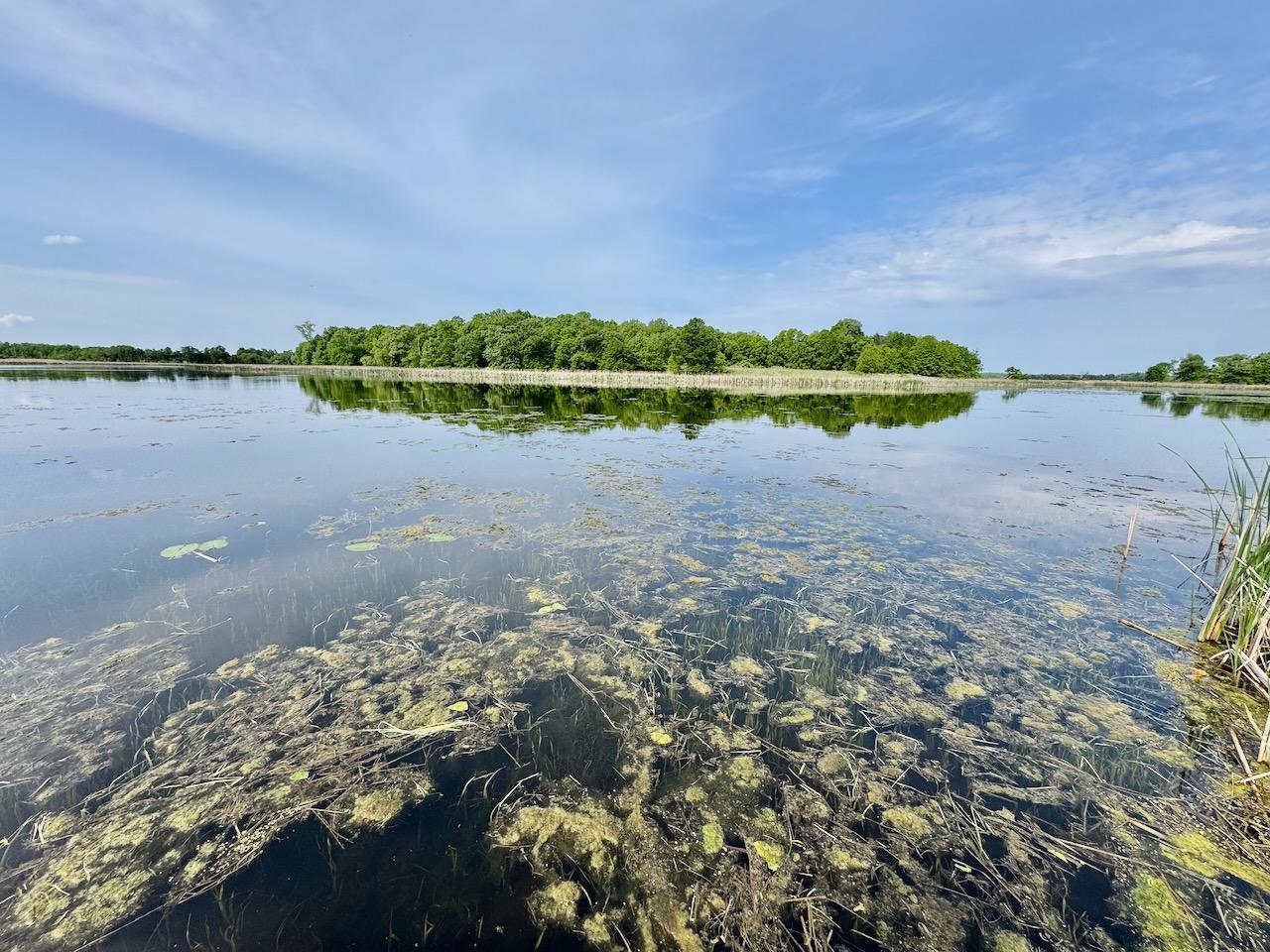 2012 single family home for sale at 32406 Starland Shore Drive in Dent, MN — 3 bed, 2 bath (photo 19 of 23)