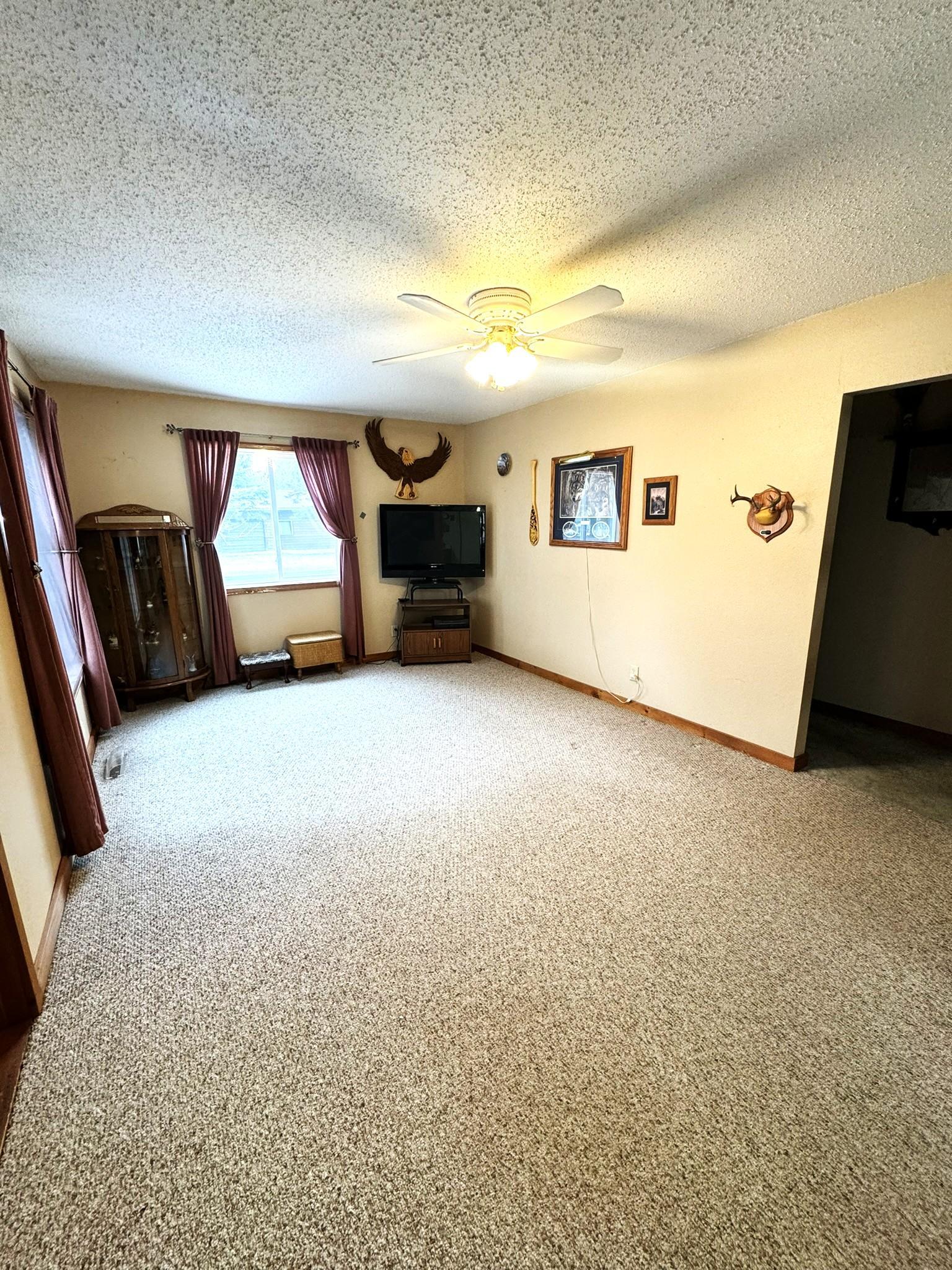 115 1st Street SE, Akeley MN 56433 - Photo 8 of 22