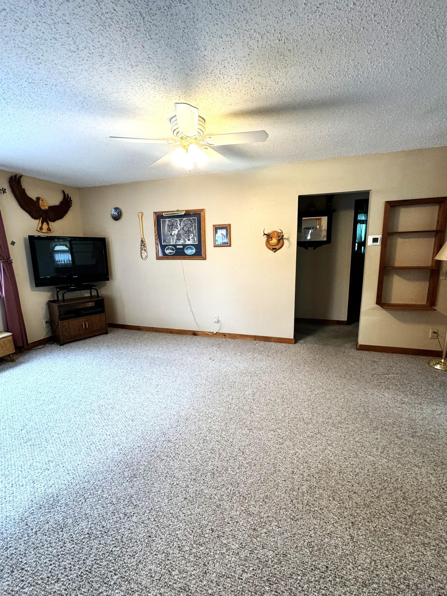 115 1st Street SE, Akeley MN 56433 - Photo 9 of 22
