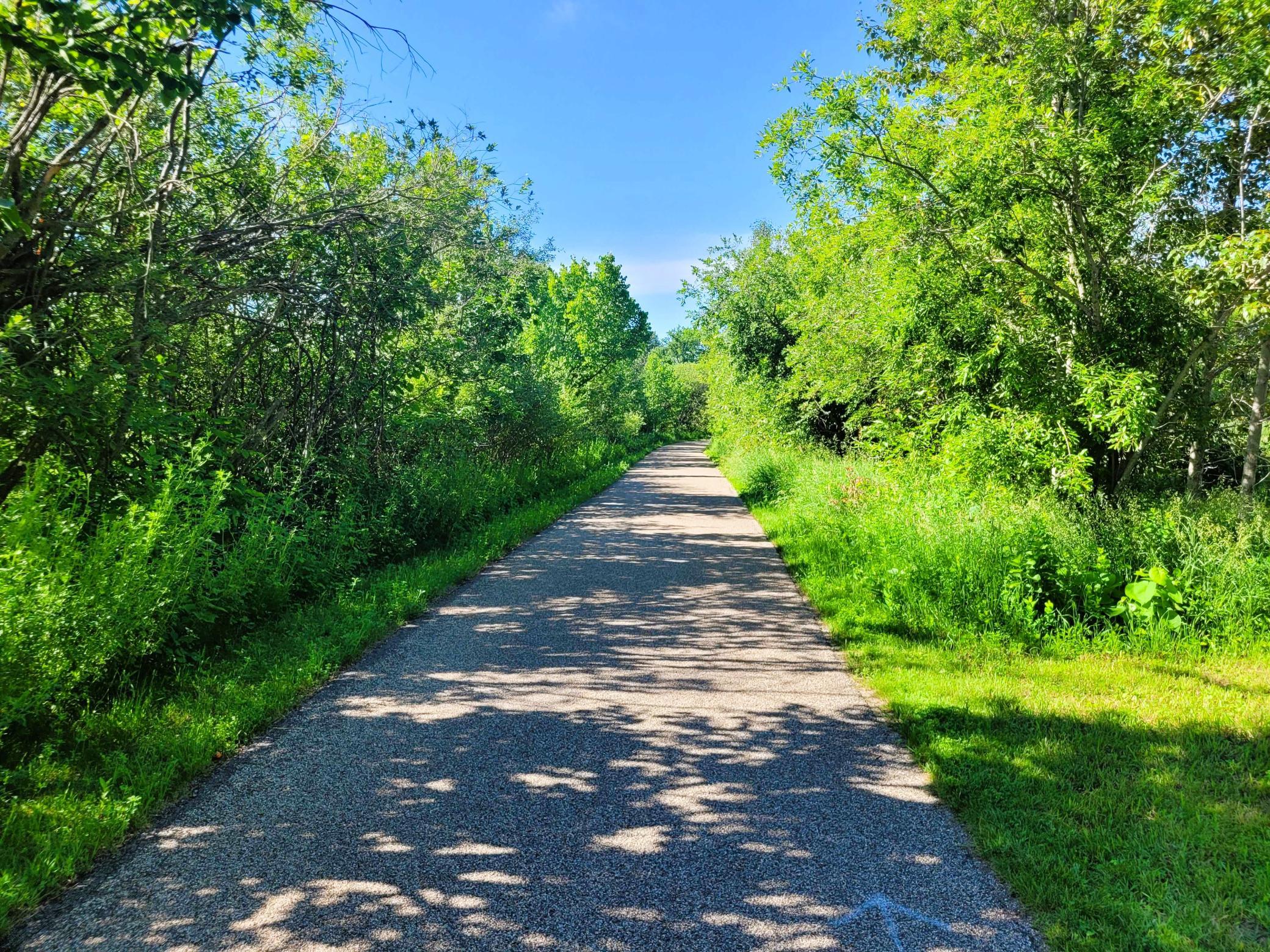 land for sale at Lots 5 & 6 Branch Creek Road in Detroit Lakes, MN (photo 22 of 29)