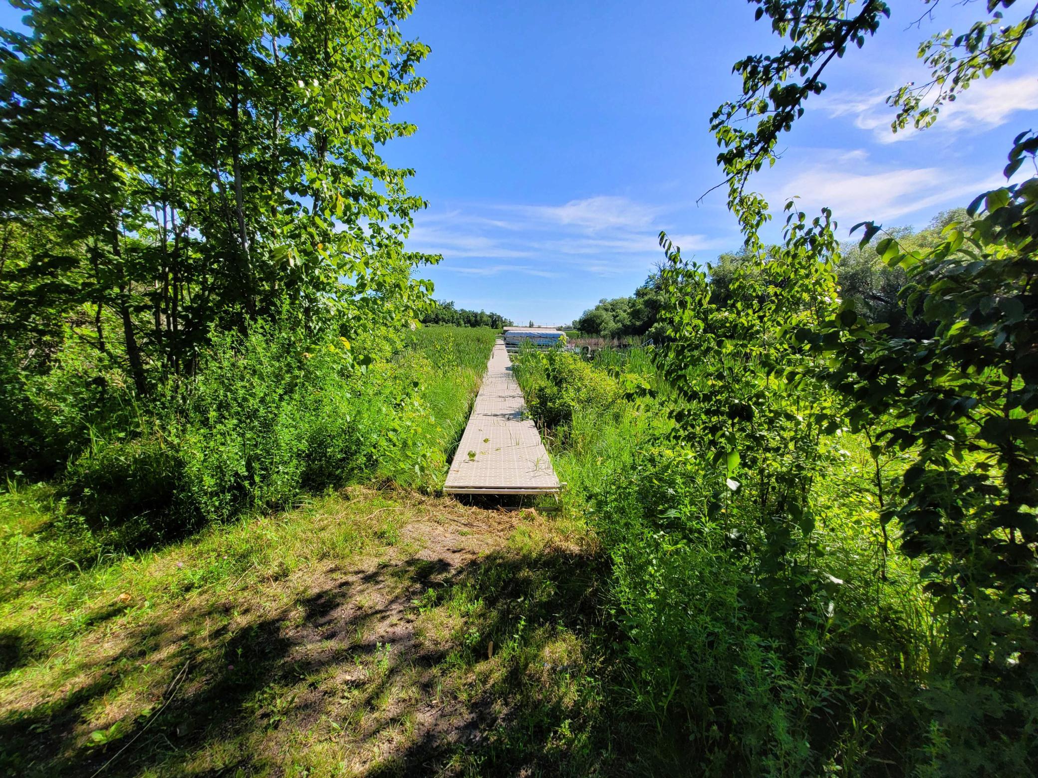 land for sale at Lots 5 & 6 Branch Creek Road in Detroit Lakes, MN (photo 24 of 29)