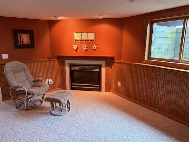 1998 single family home for sale at 305 15th Street N in Breckenridge, MN — 3 bed, 3 bath (photo 24 of 29)