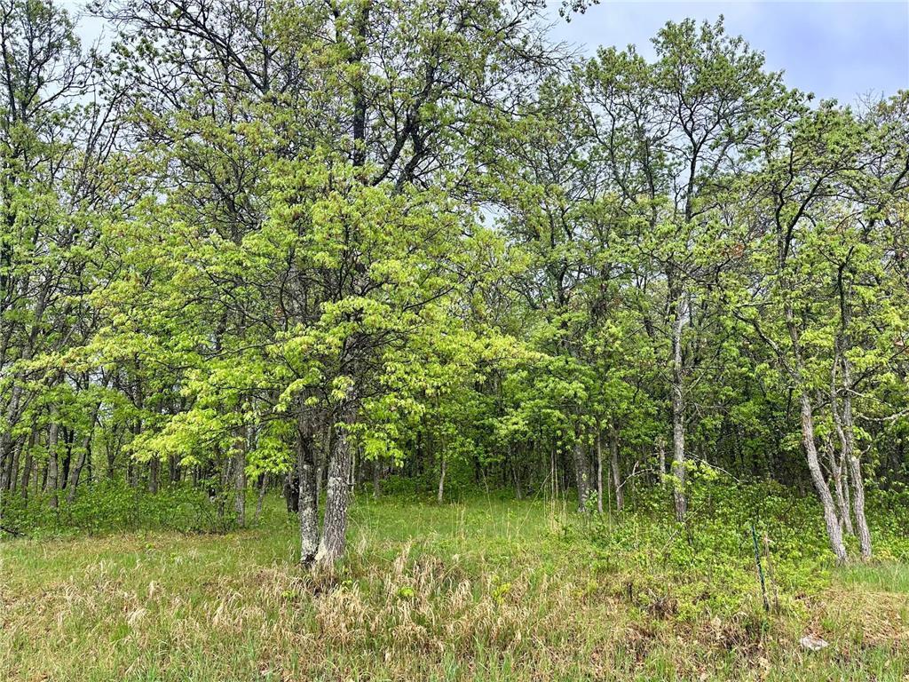 TBD Lot 3 204th St, Park Rapids MN 56470 - Photo 4 of 13