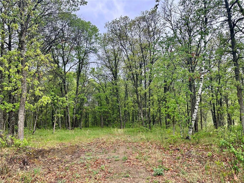TBD Lot 3 204th St, Park Rapids MN 56470 - Photo 5 of 13
