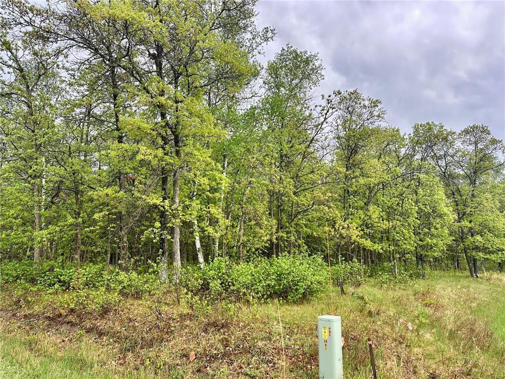 TBD Lot 3 204th St, Park Rapids MN 56470 - Photo 6 of 13