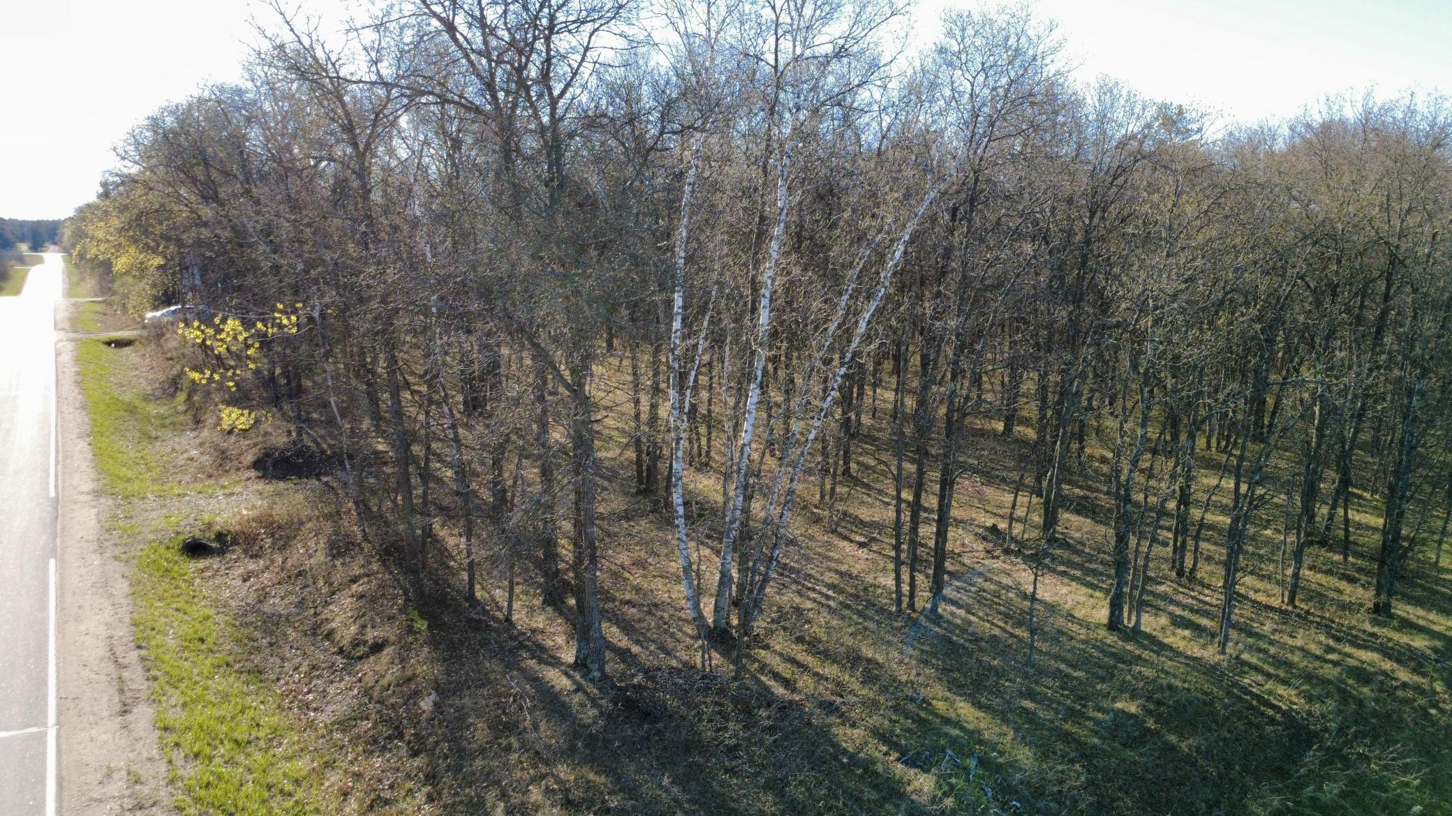 TBD Lot 4 204th St, Park Rapids MN 56470 - Photo 12 of 12