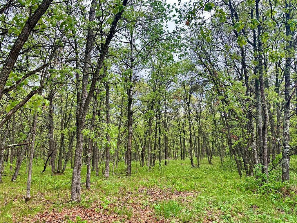 TBD Lot 4 204th St, Park Rapids MN 56470 - Photo 4 of 12