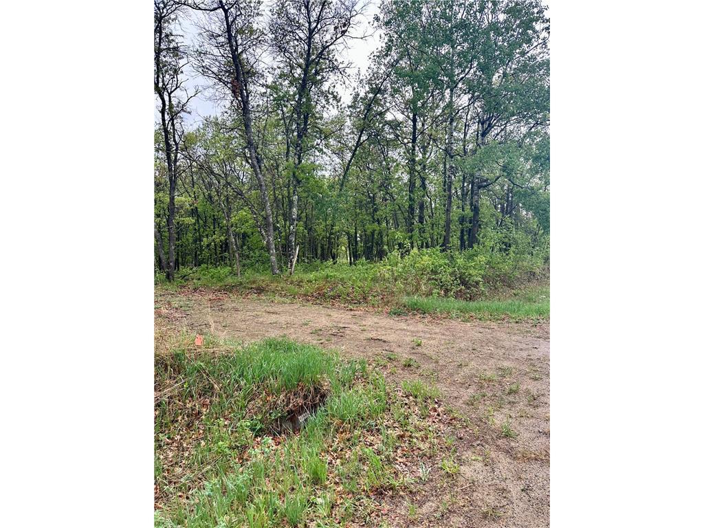 TBD Lot 4 204th St, Park Rapids MN 56470 - Photo 5 of 12