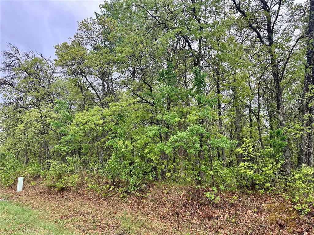 TBD Lot 4 204th St, Park Rapids MN 56470 - Photo 6 of 12