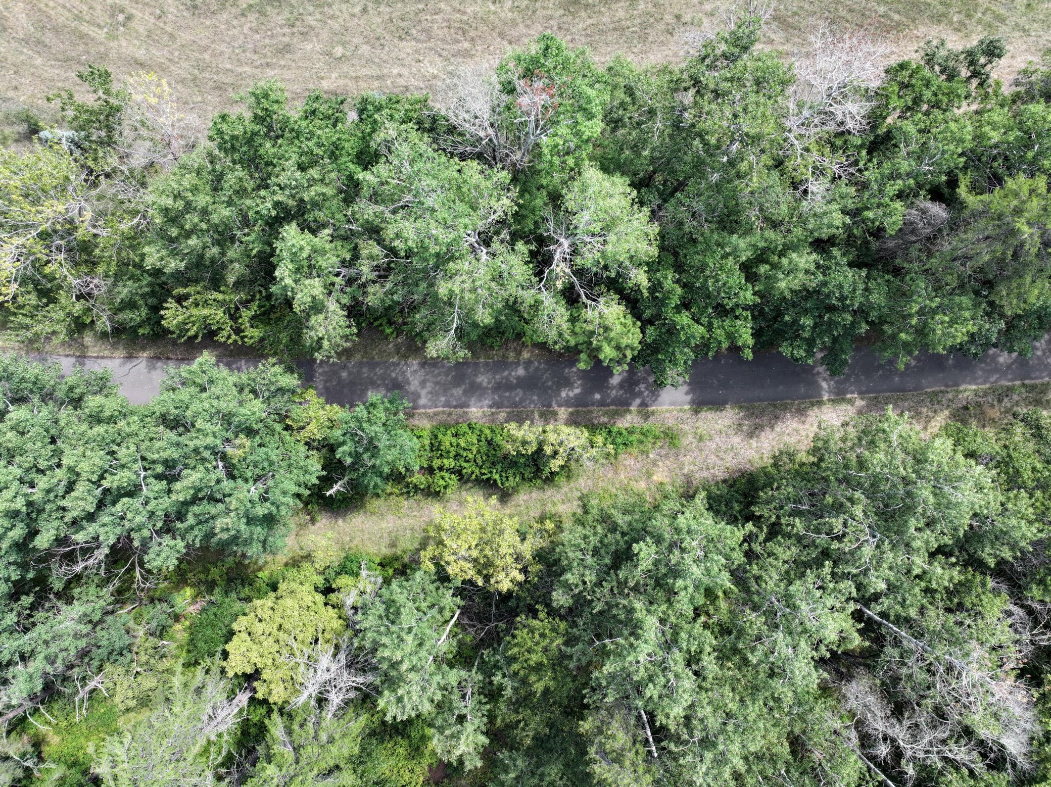 land for sale at TBD Lot 4 204th St in Park Rapids, MN (photo 10 of 13)