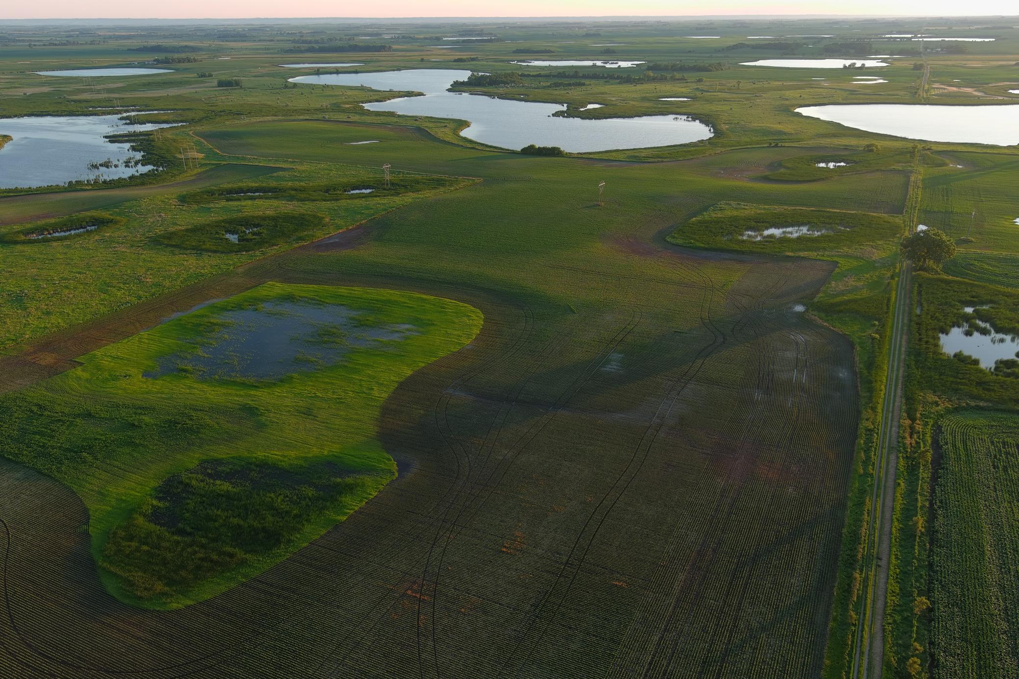 land for sale at TBD County Road 1 in Hankinson, ND (photo 5 of 54)