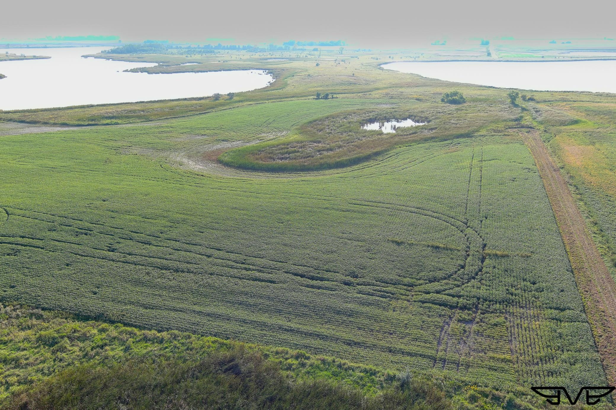 land for sale at TBD County Road 1 in Hankinson, ND (photo 43 of 54)