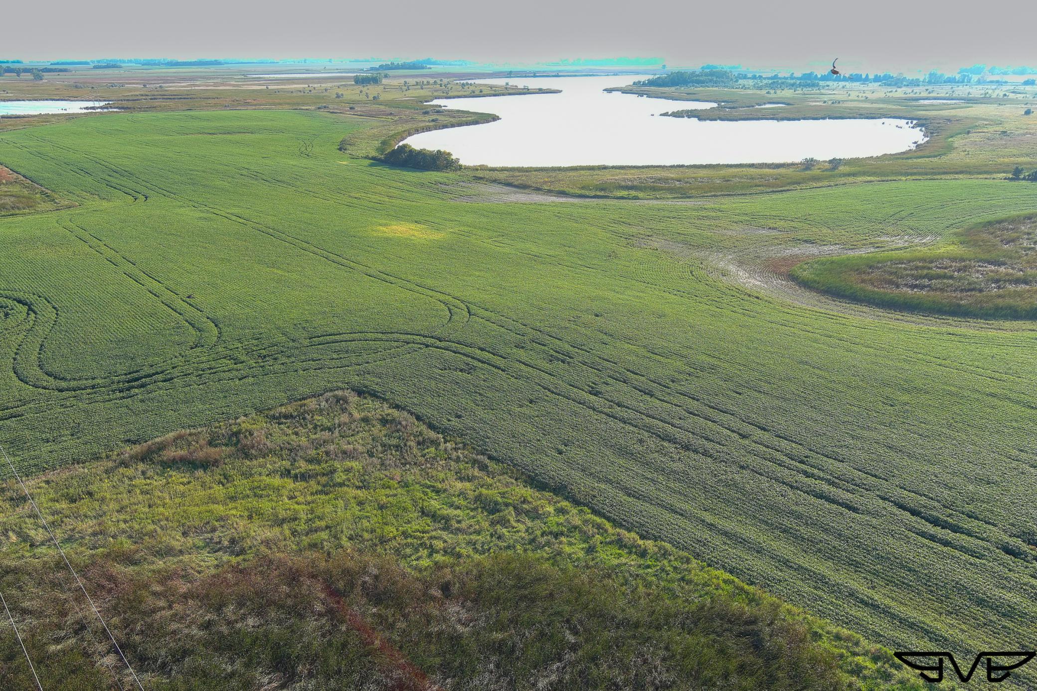 land for sale at TBD County Road 1 in Hankinson, ND (photo 44 of 54)