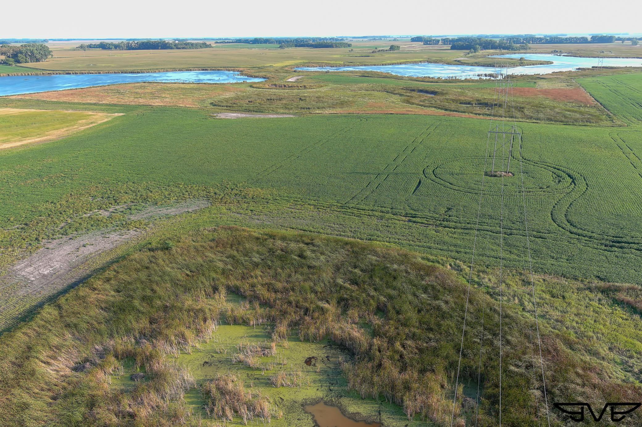 land for sale at TBD County Road 1 in Hankinson, ND (photo 46 of 54)