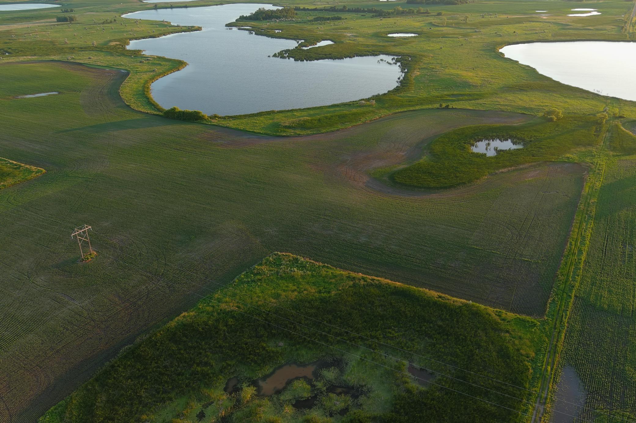land for sale at TBD County Road 1 in Hankinson, ND (photo 8 of 54)