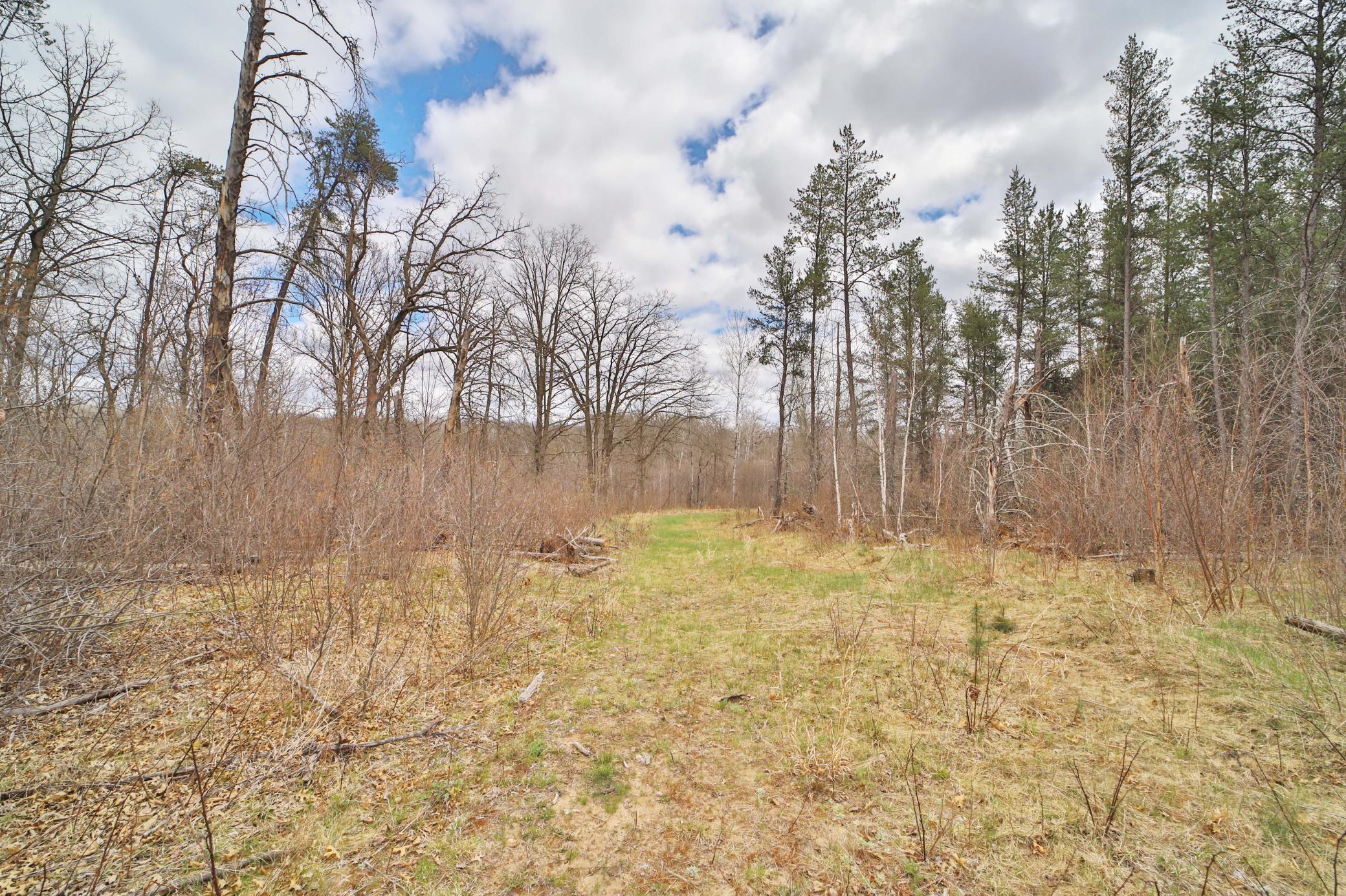 TBD 65th Avenue SW, Motley MN 56466 - Photo 5 of 12