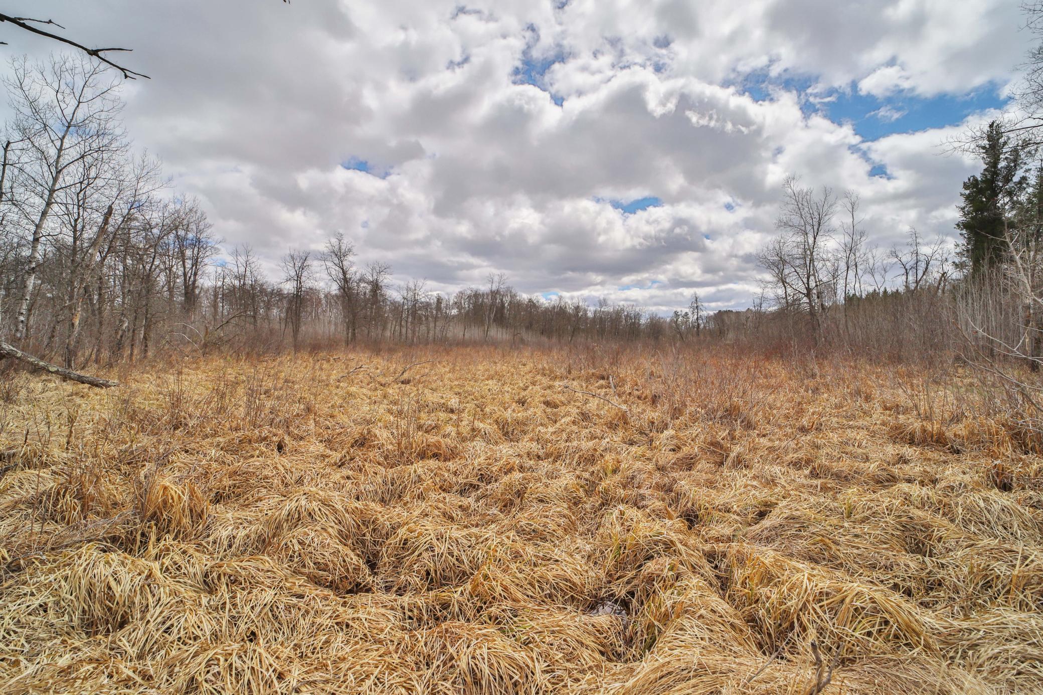TBD 65th Avenue SW, Motley MN 56466 - Photo 7 of 12