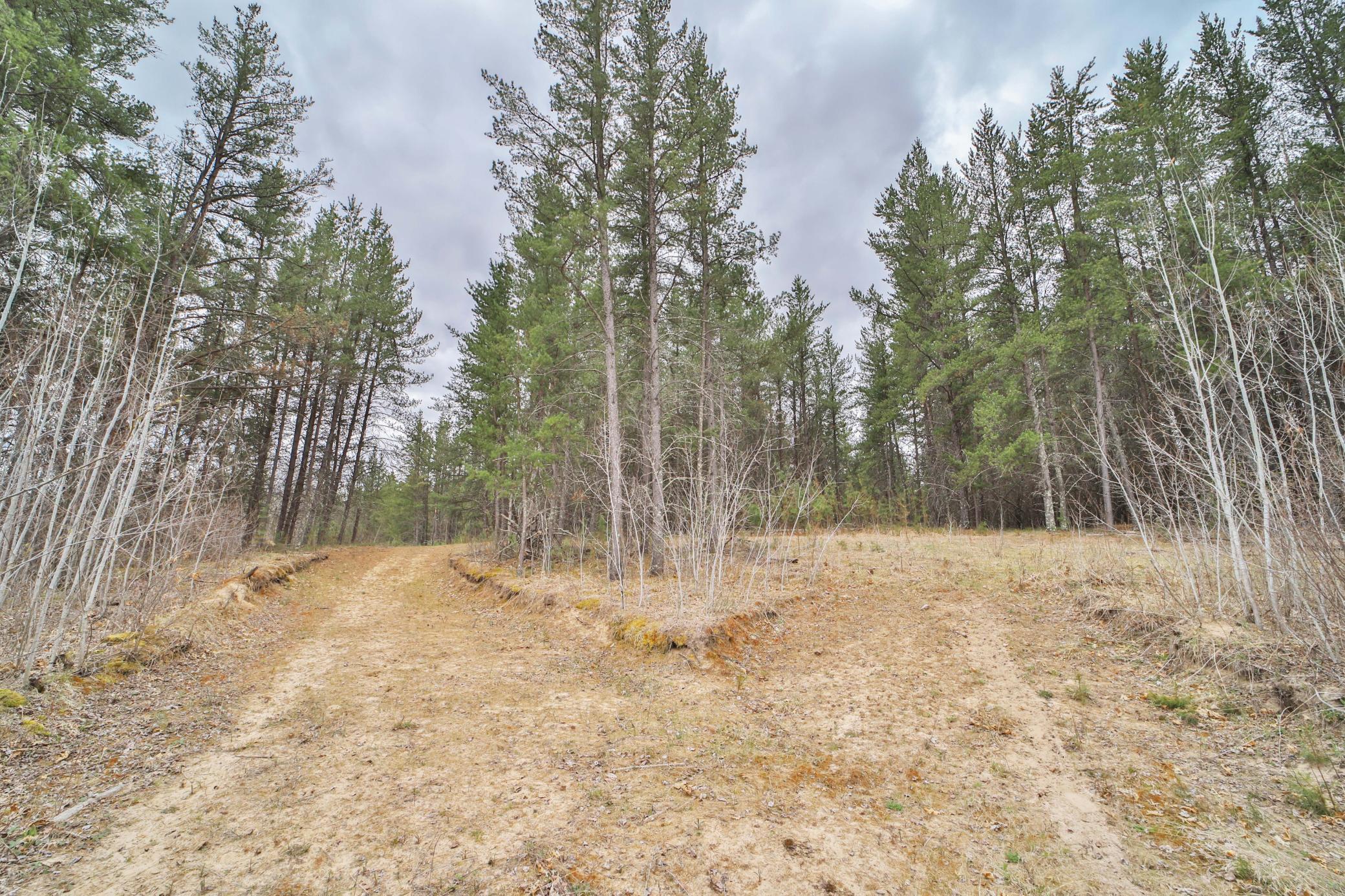 TBD 65th Avenue SW, Motley MN 56466 - Photo 8 of 12