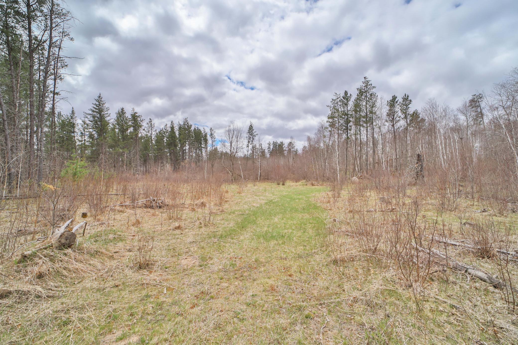 TBD 65th Avenue SW, Motley MN 56466 - Photo 9 of 12
