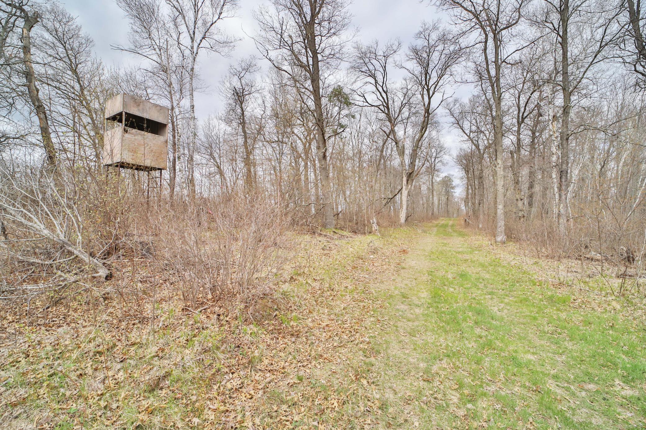 TBD 65th Avenue SW, Motley MN 56466 - Photo 10 of 12