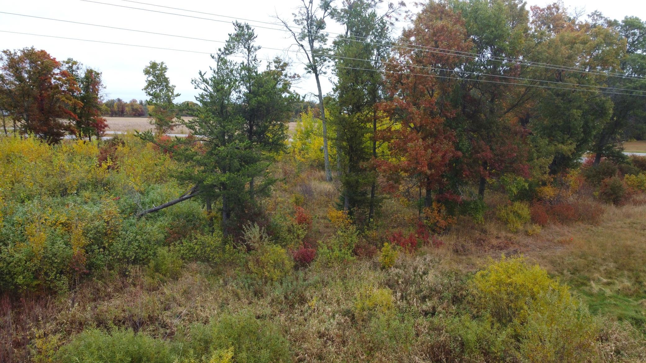 land for sale at TBD State Highway 371 in Brainerd, MN (photo 11 of 25)