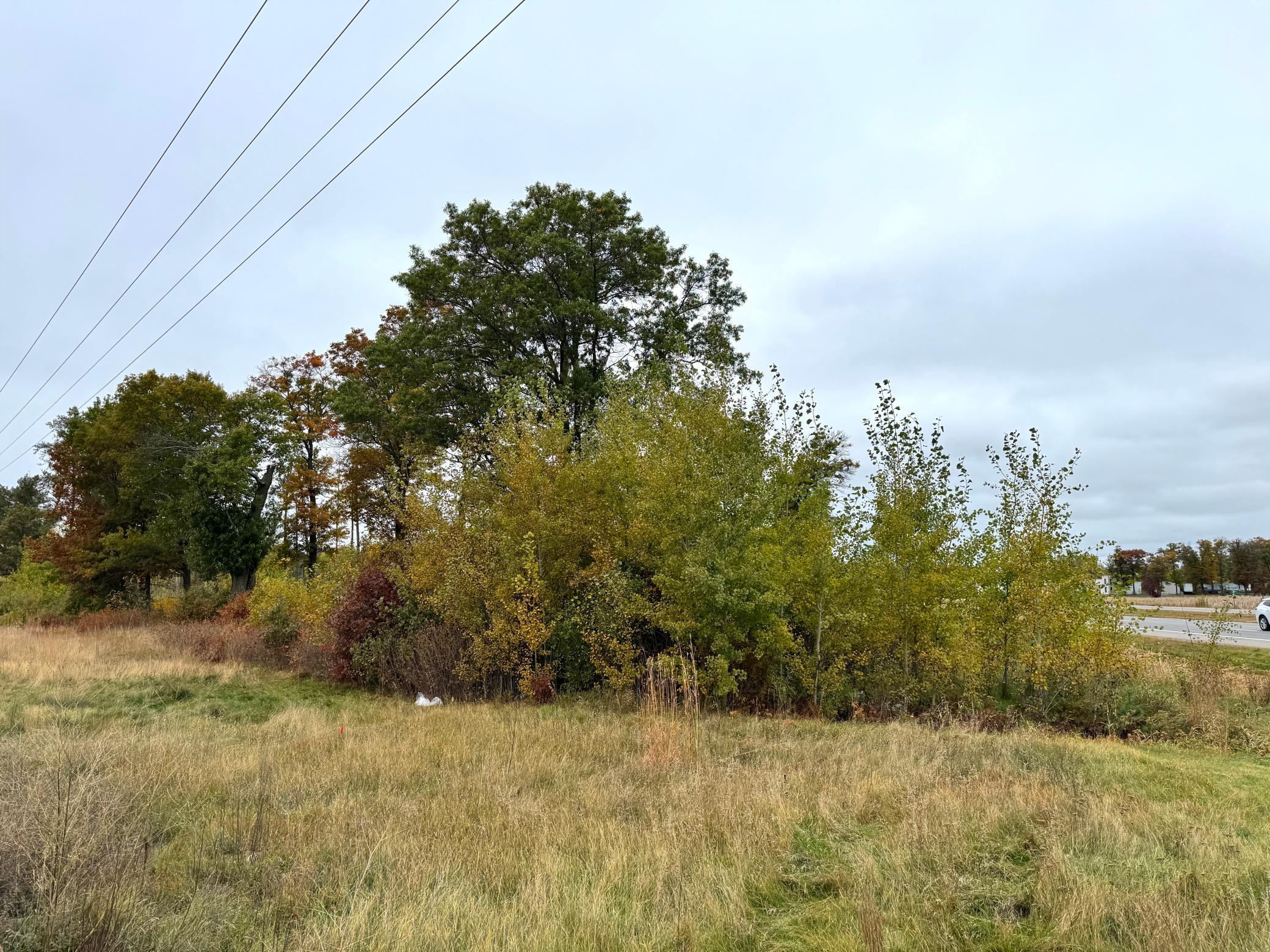 land for sale at TBD State Highway 371 in Brainerd, MN (photo 12 of 25)