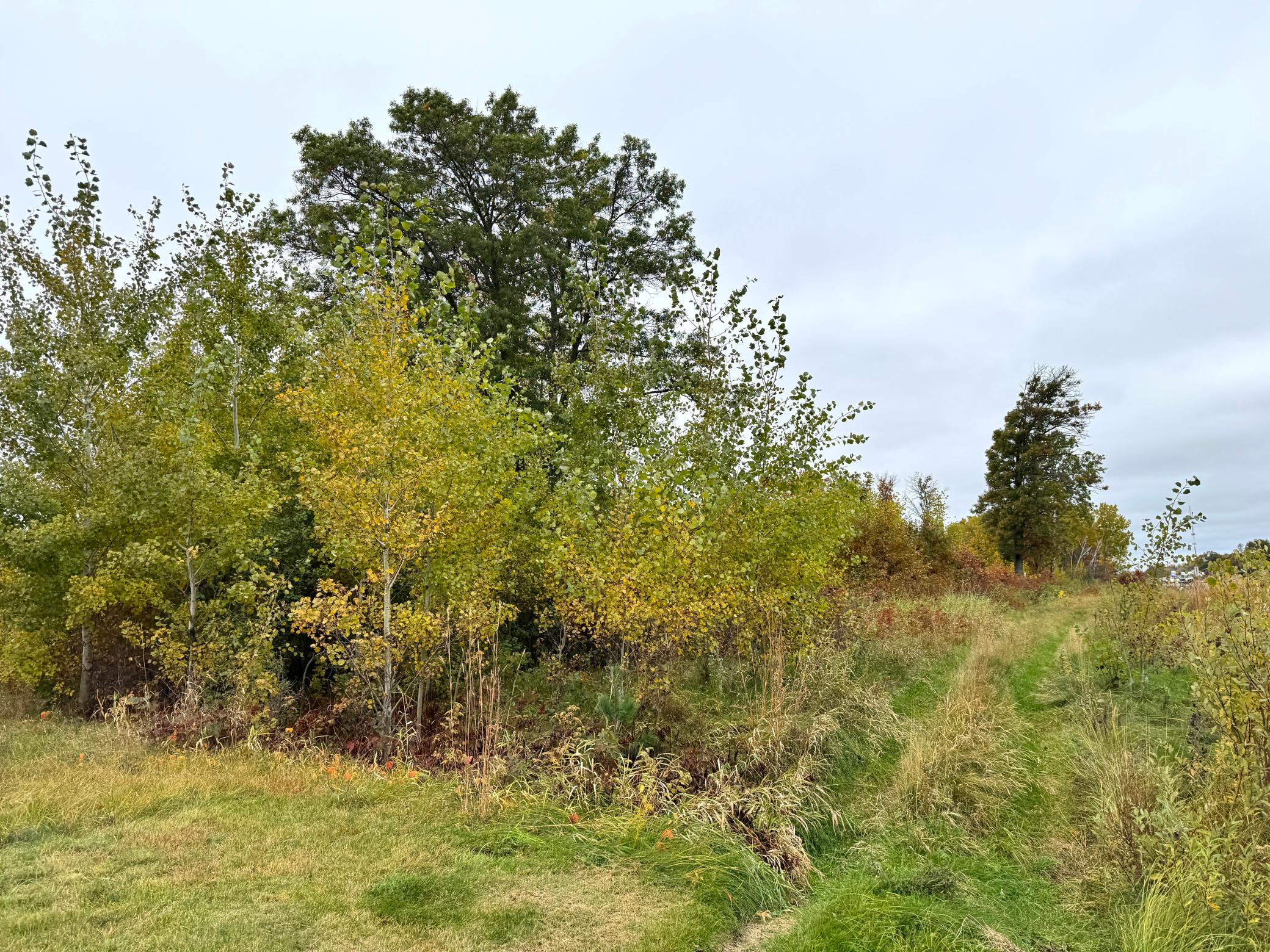 land for sale at TBD State Highway 371 in Brainerd, MN (photo 14 of 25)