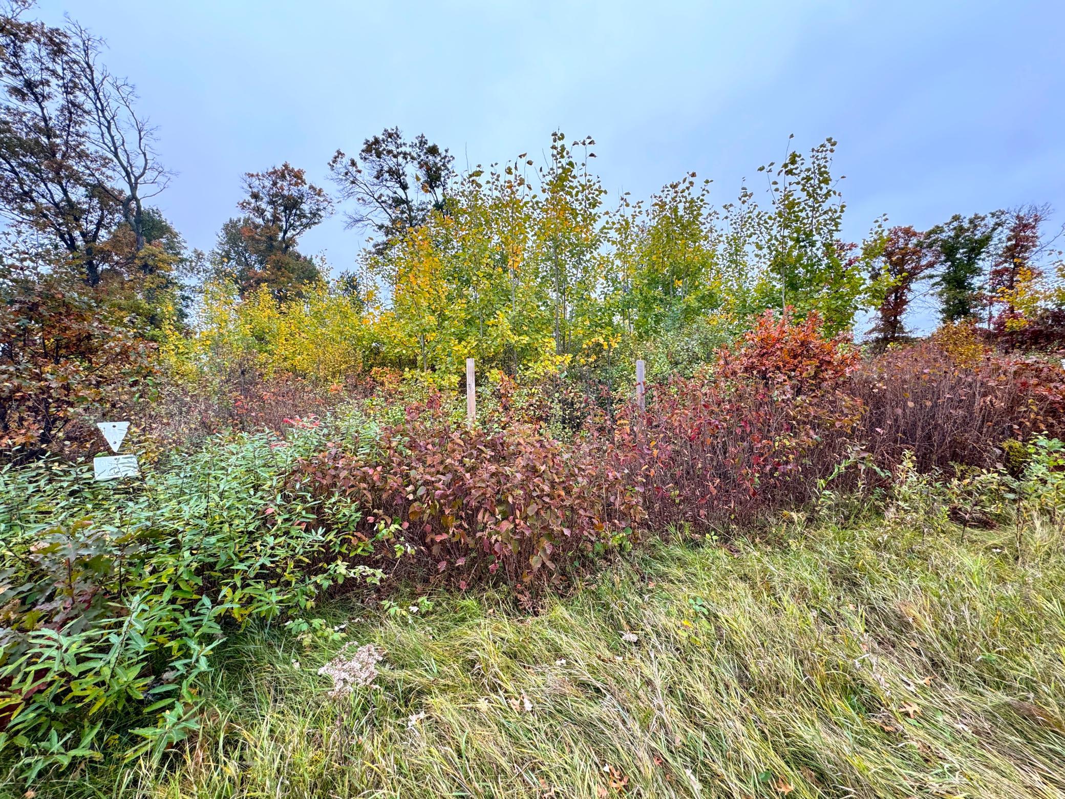 land for sale at TBD State Highway 371 in Brainerd, MN (photo 16 of 25)