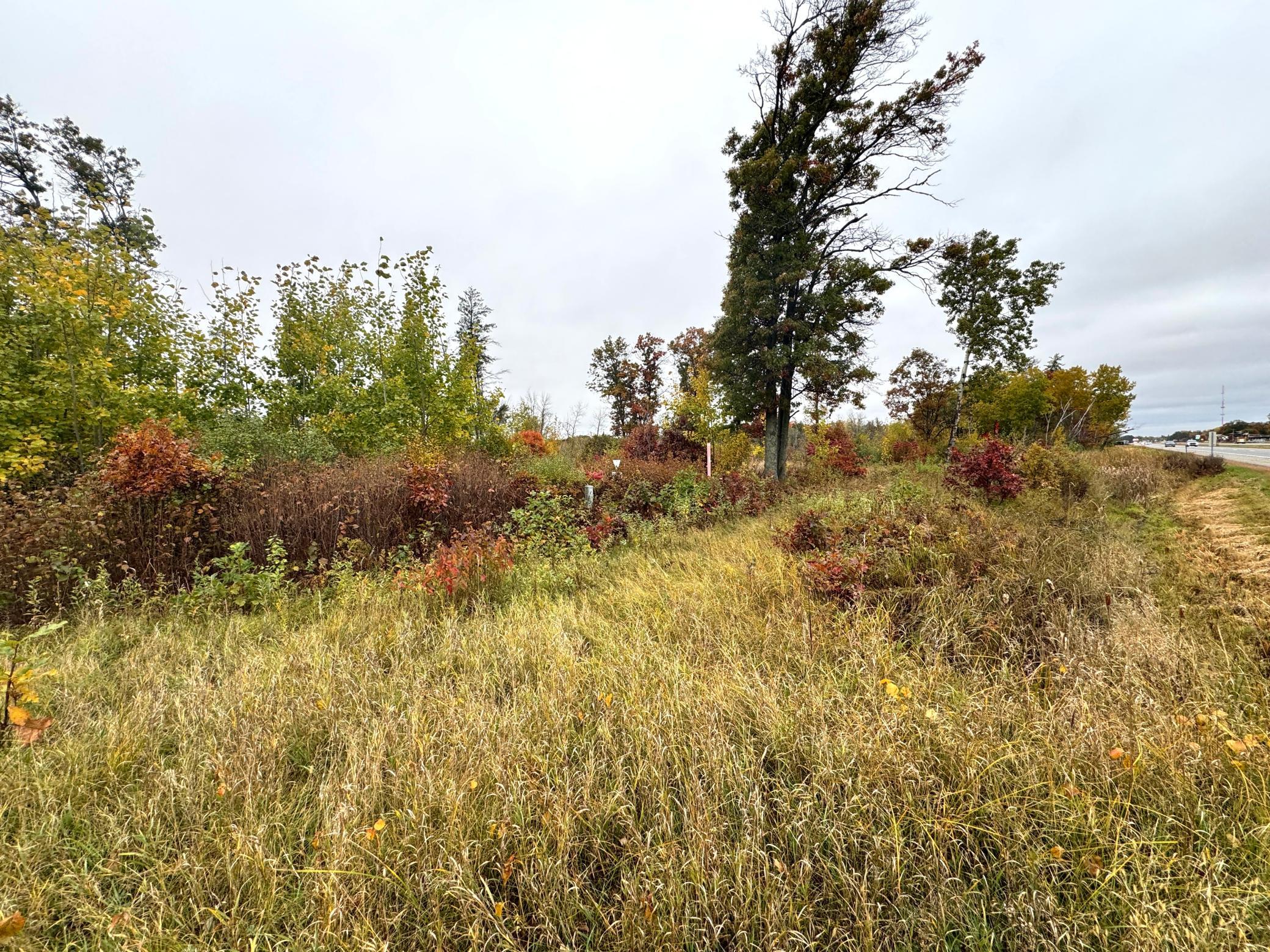 land for sale at TBD State Highway 371 in Brainerd, MN (photo 17 of 25)