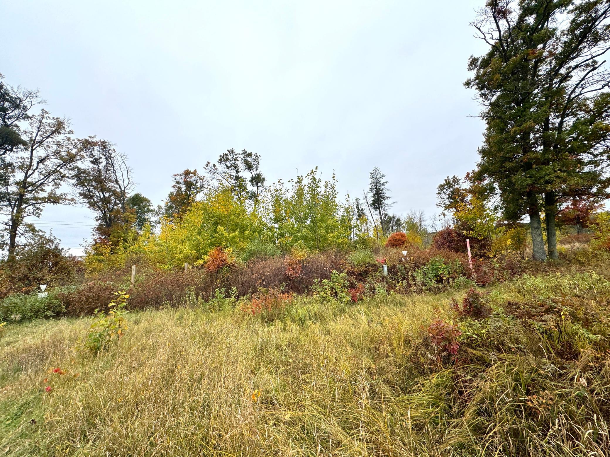 land for sale at TBD State Highway 371 in Brainerd, MN (photo 21 of 25)