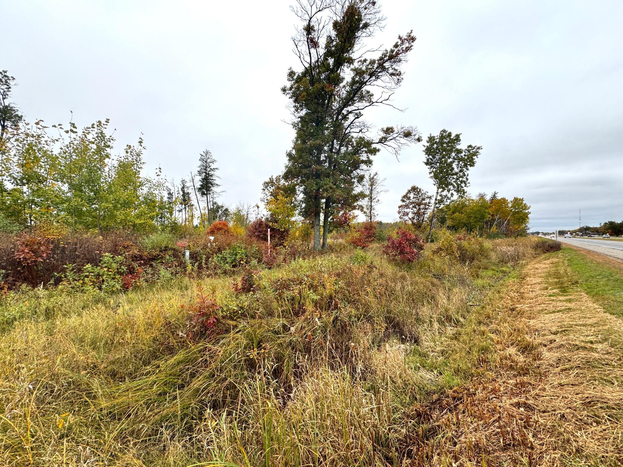 land for sale at TBD State Highway 371 in Brainerd, MN (photo 23 of 25)
