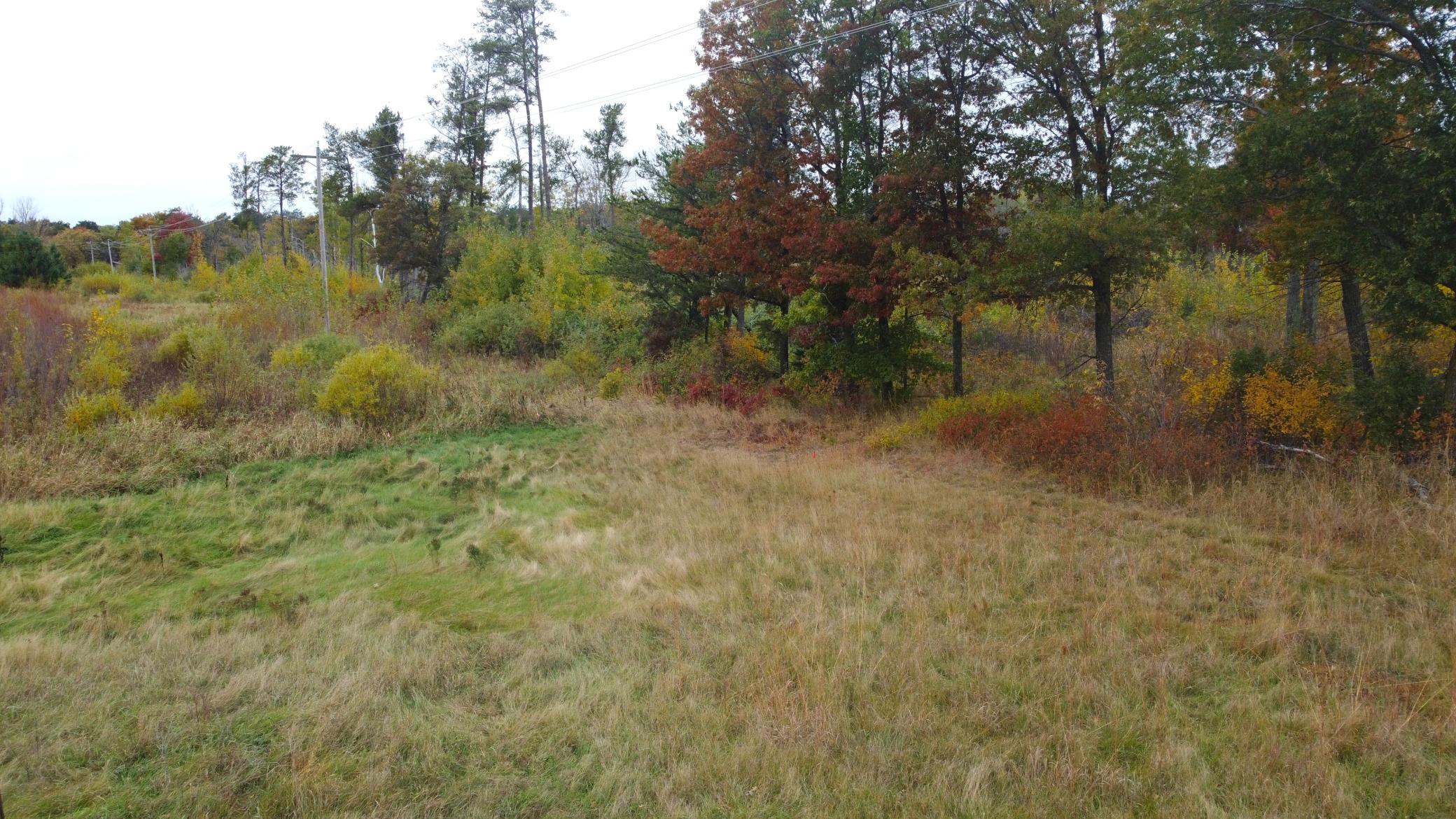 land for sale at TBD State Highway 371 in Brainerd, MN (photo 10 of 25)