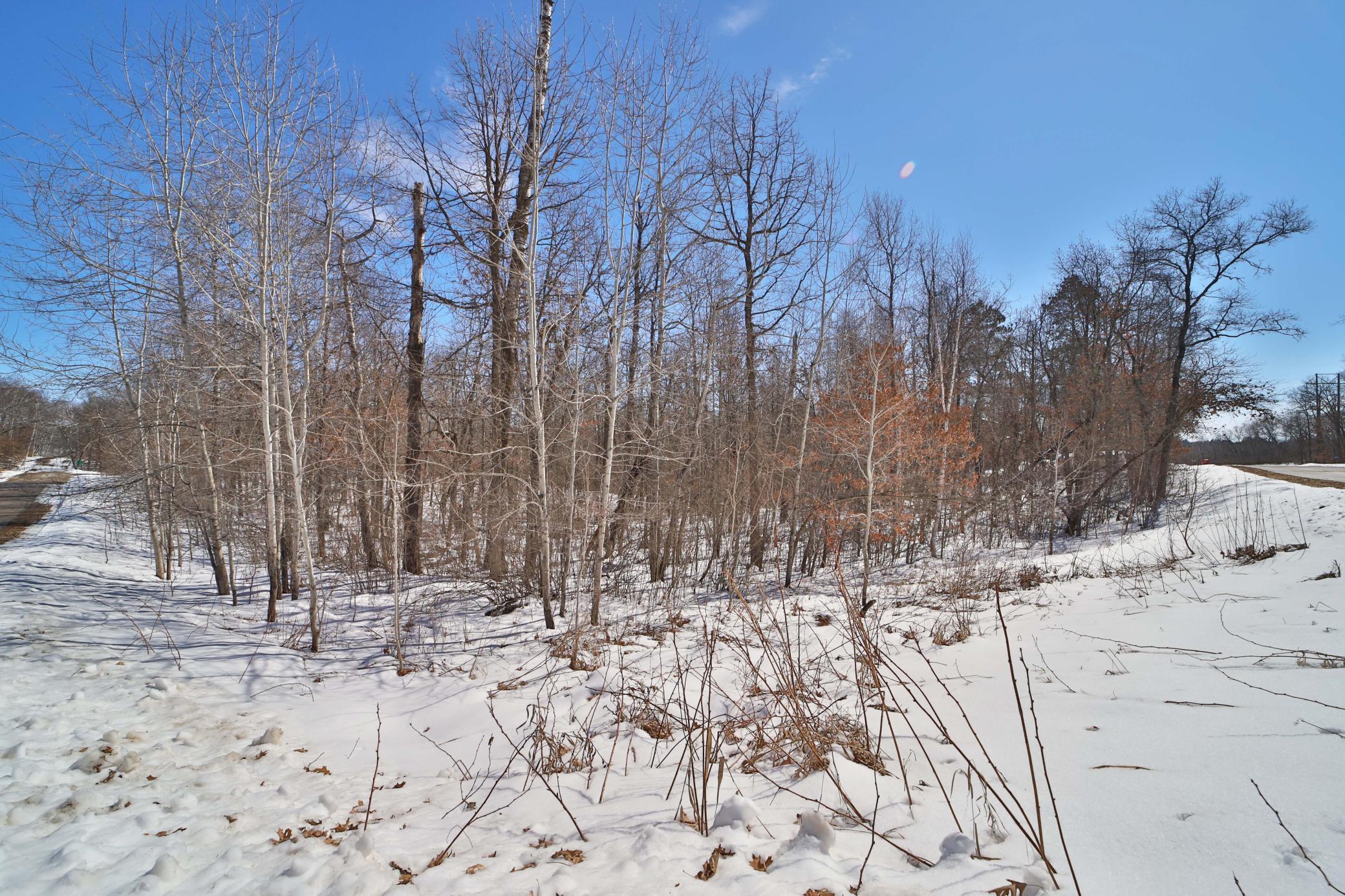 TBD Percheron Drive, Breezy Point MN 56472 - Photo 4 of 10
