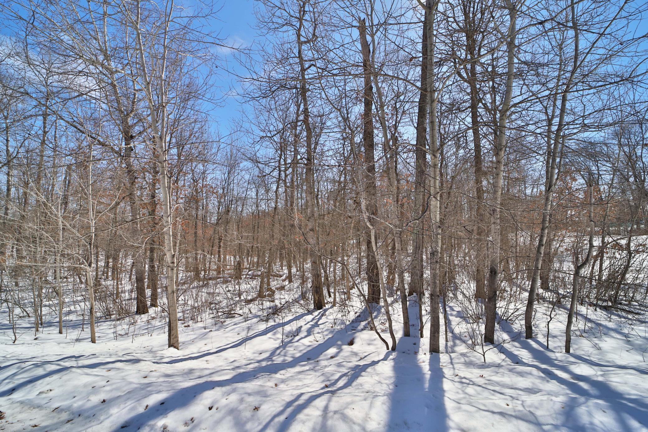 TBD Percheron Drive, Breezy Point MN 56472 - Photo 5 of 10