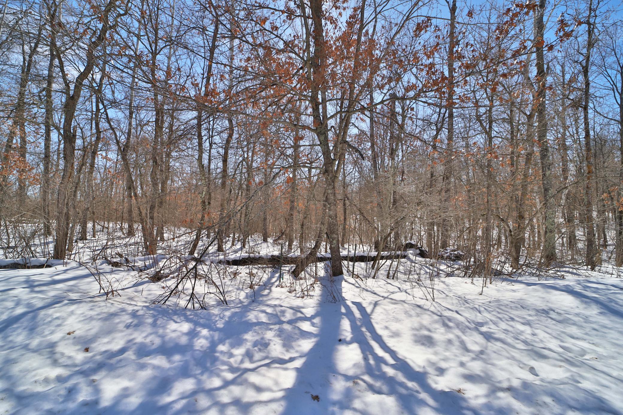 TBD Percheron Drive, Breezy Point MN 56472 - Photo 7 of 10
