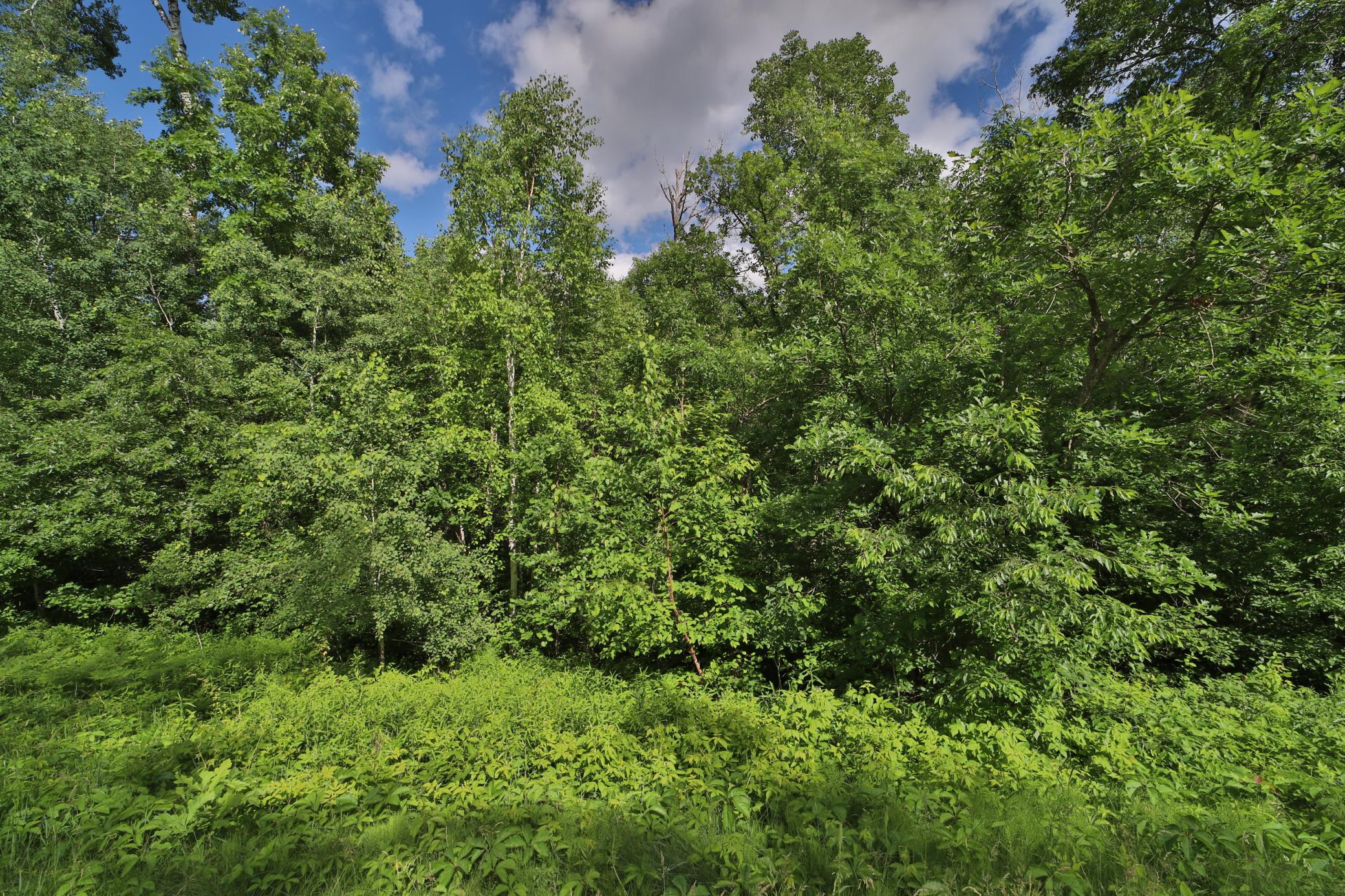 land for sale at TBD Percheron Drive in Breezy Point, MN