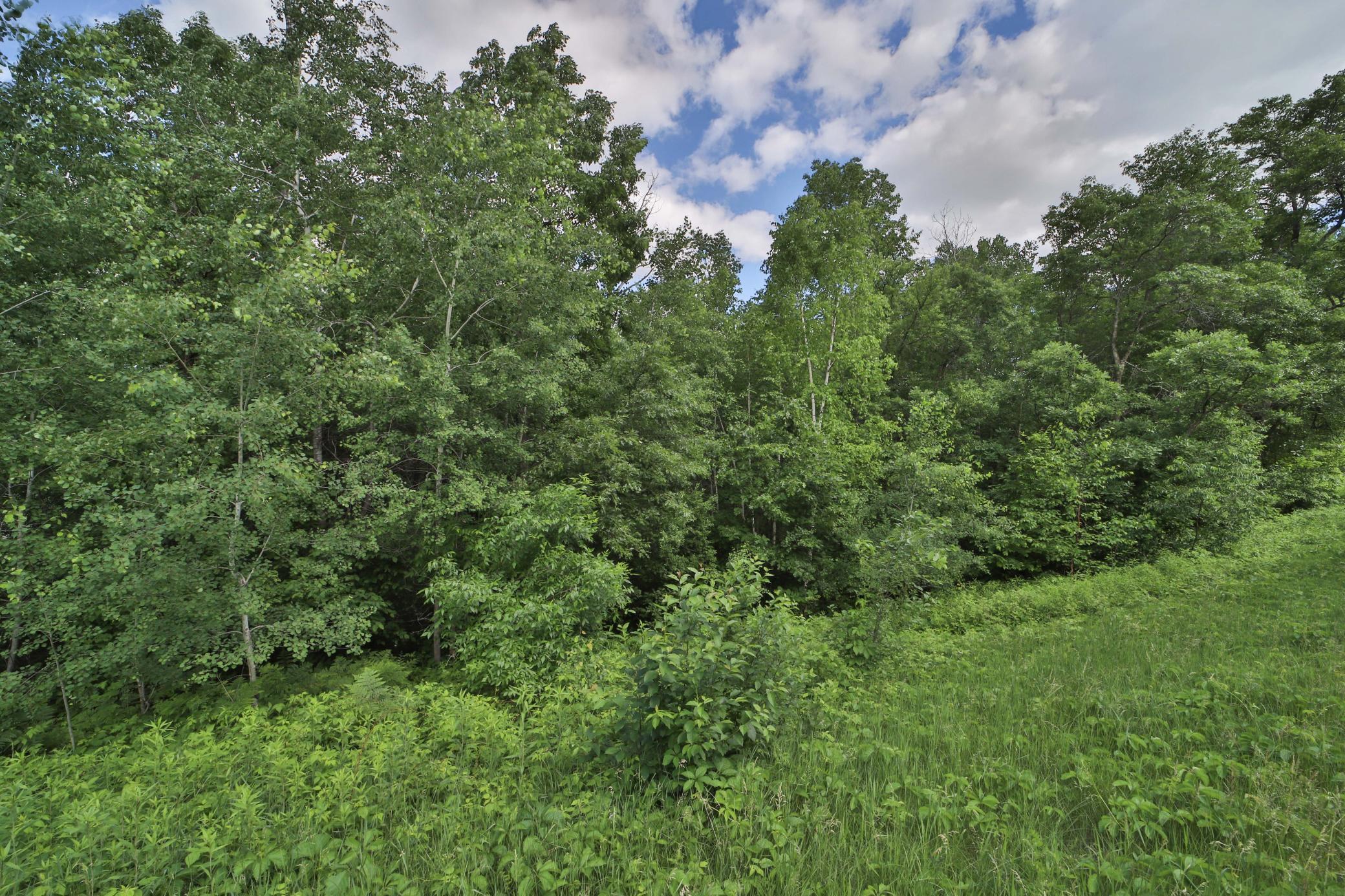 land for sale at TBD Percheron Drive in Breezy Point, MN (photo 3 of 7)