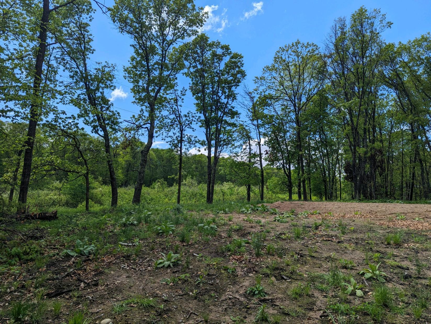land for sale at L44 B1 Navaho Trail in Breezy Point, MN (photo 3 of 10)