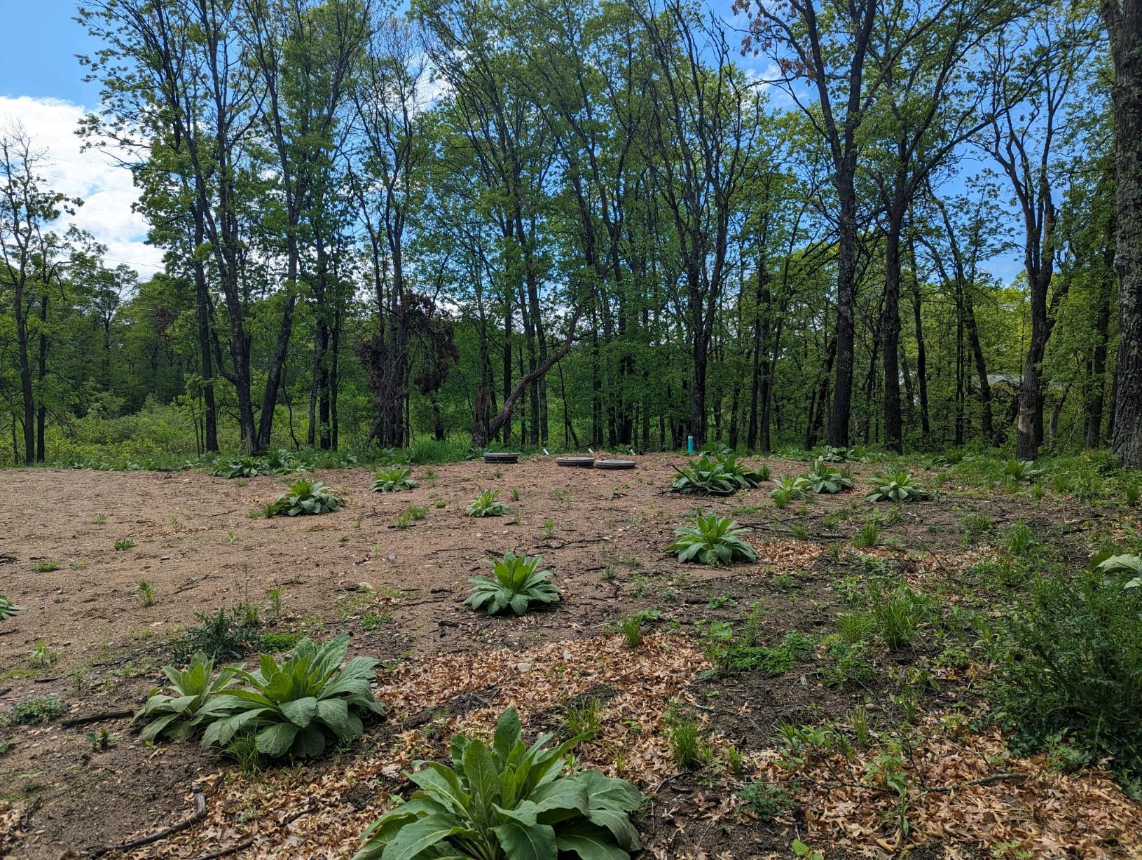 land for sale at L44 B1 Navaho Trail in Breezy Point, MN (photo 6 of 10)