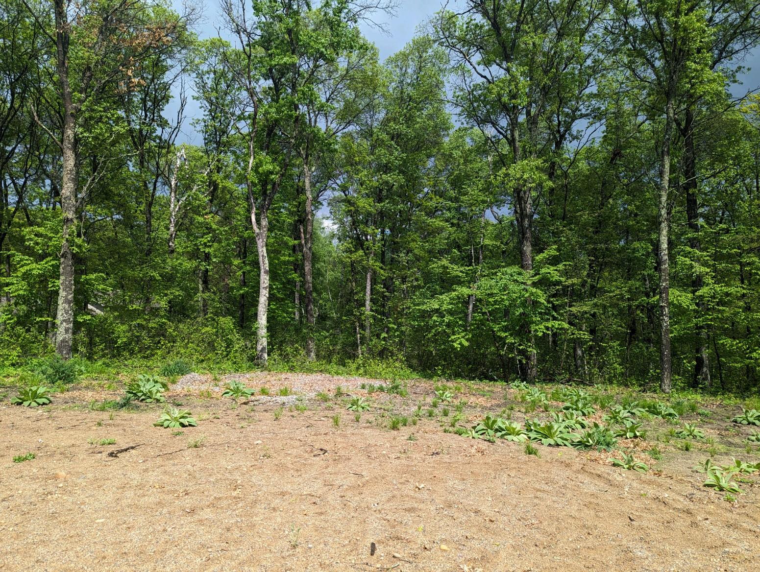 land for sale at L44 B1 Navaho Trail in Breezy Point, MN (photo 8 of 10)