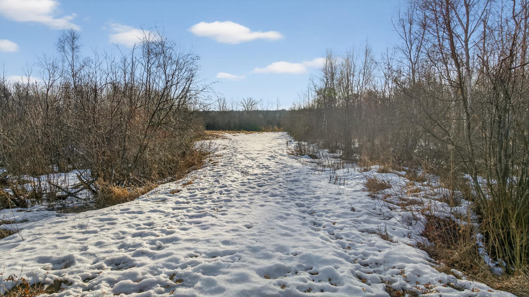 land for sale at TBD Coneflower Lane SW in Pine River, MN (photo 2 of 19)