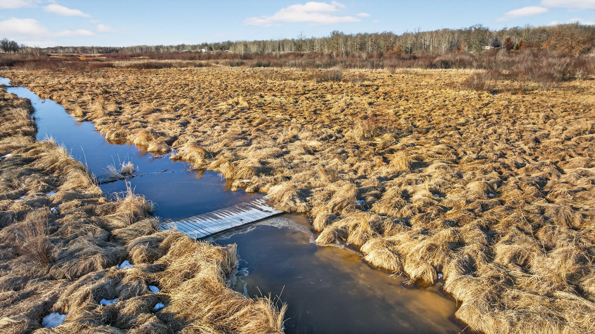 land for sale at TBD Coneflower Lane SW in Pine River, MN (photo 11 of 19)