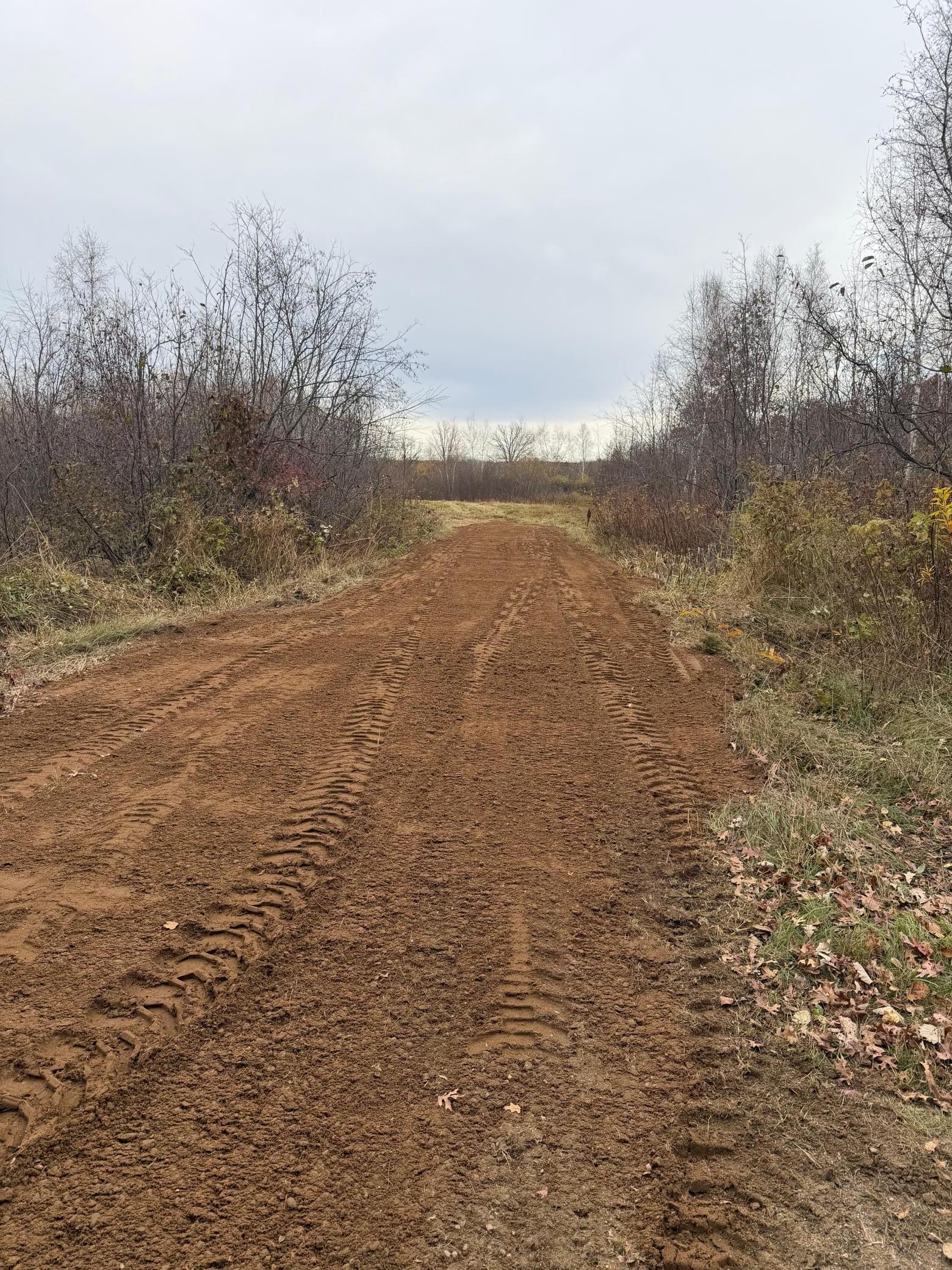 land for sale at TBD Coneflower Lane SW in Pine River, MN (photo 17 of 19)