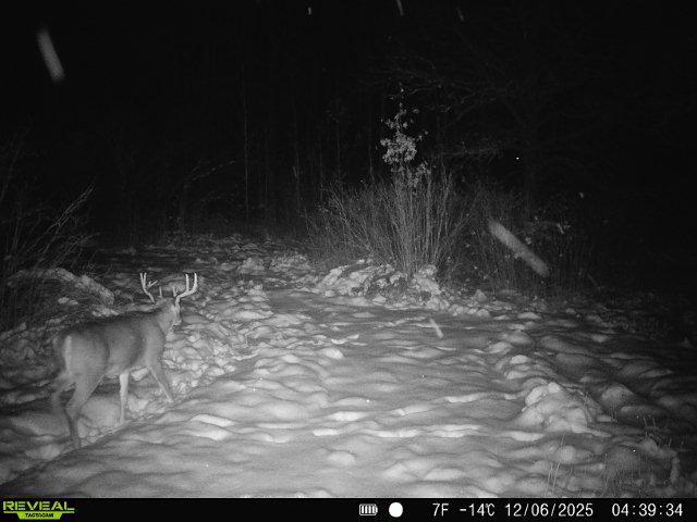 land for sale at TBD Coneflower Lane SW in Pine River, MN (photo 18 of 19)