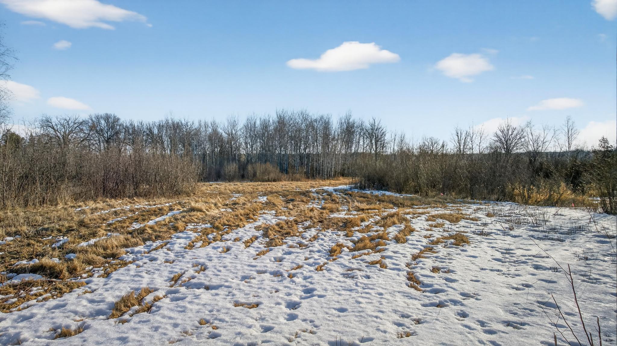 land for sale at TBD Coneflower Lane SW in Pine River, MN (photo 3 of 19)