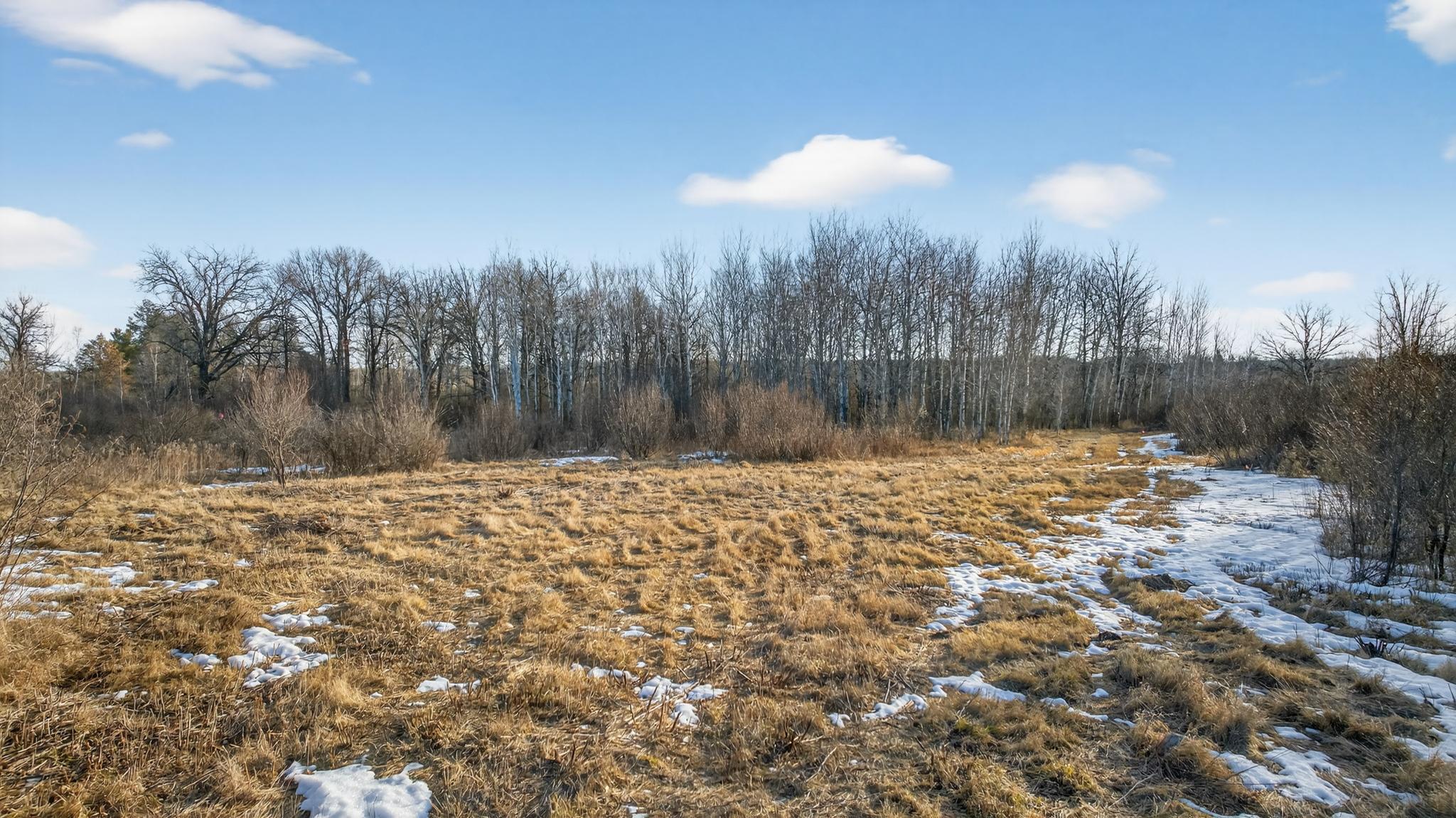 land for sale at TBD Coneflower Lane SW in Pine River, MN (photo 4 of 19)