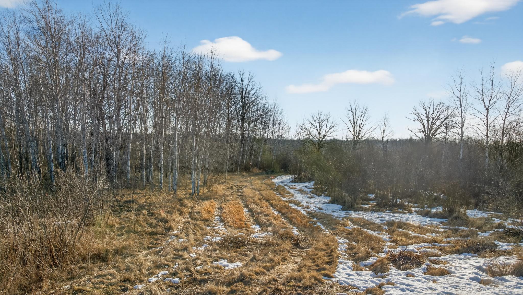 land for sale at TBD Coneflower Lane SW in Pine River, MN (photo 5 of 19)