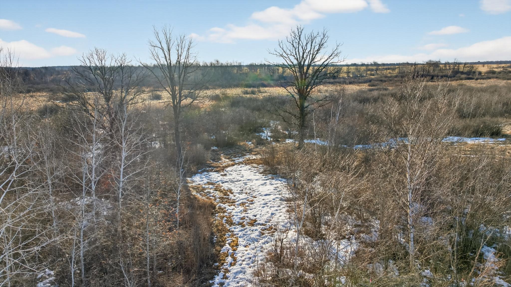 land for sale at TBD Coneflower Lane SW in Pine River, MN (photo 9 of 19)