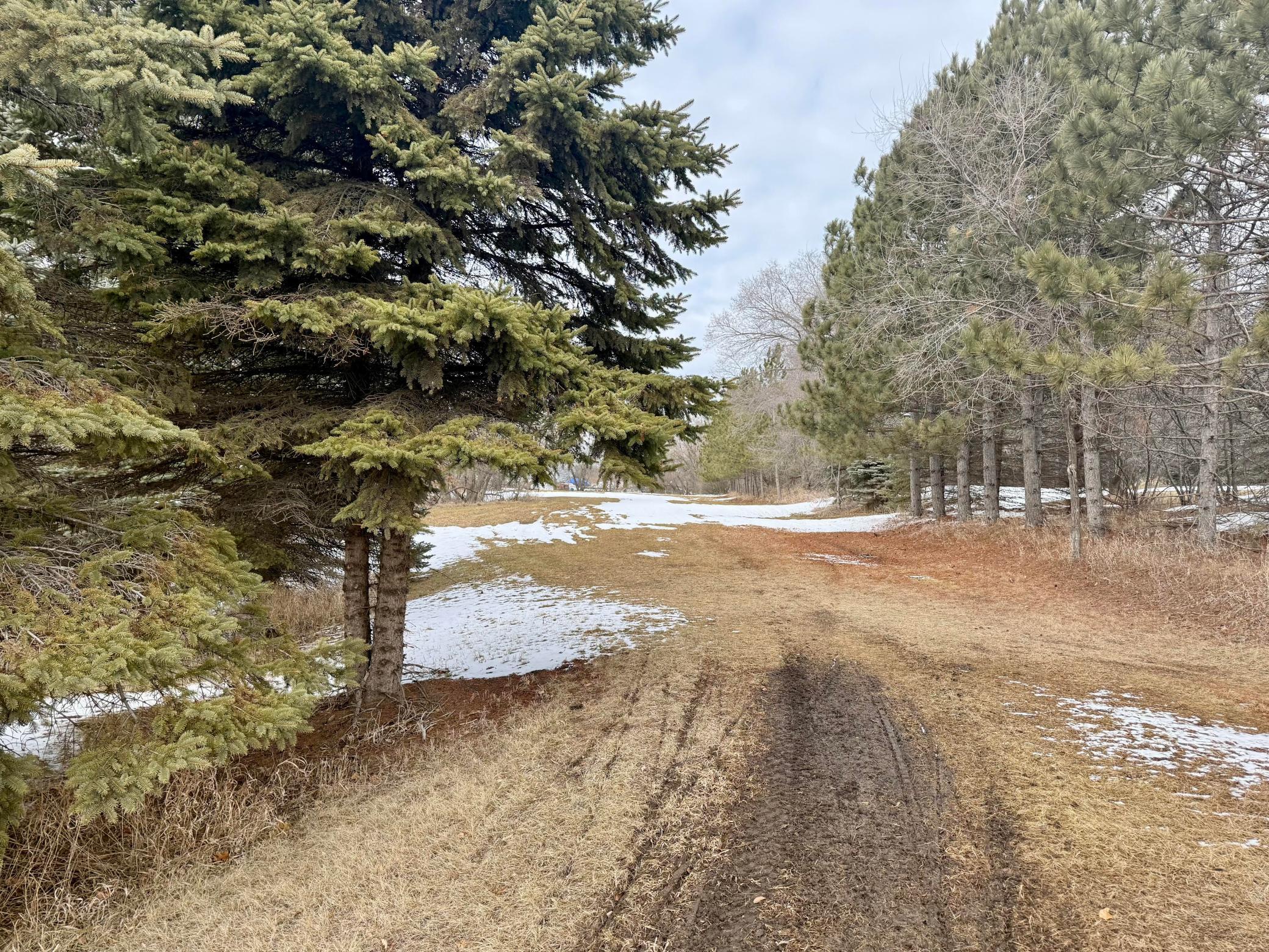 1985 land for sale at TBD Randolph Road in Detroit Lakes, MN