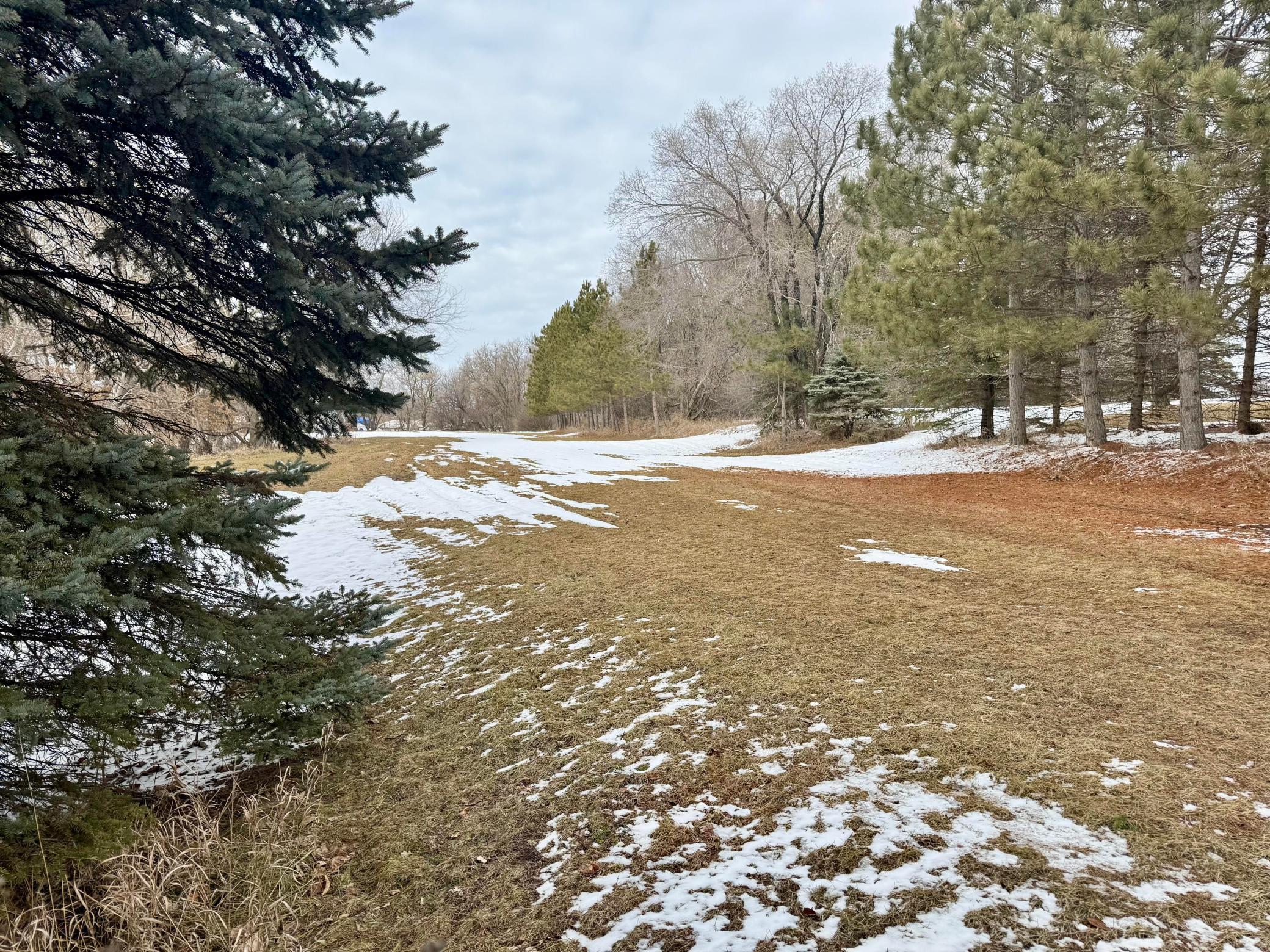 1985 land for sale at TBD Randolph Road in Detroit Lakes, MN (photo 2 of 5)